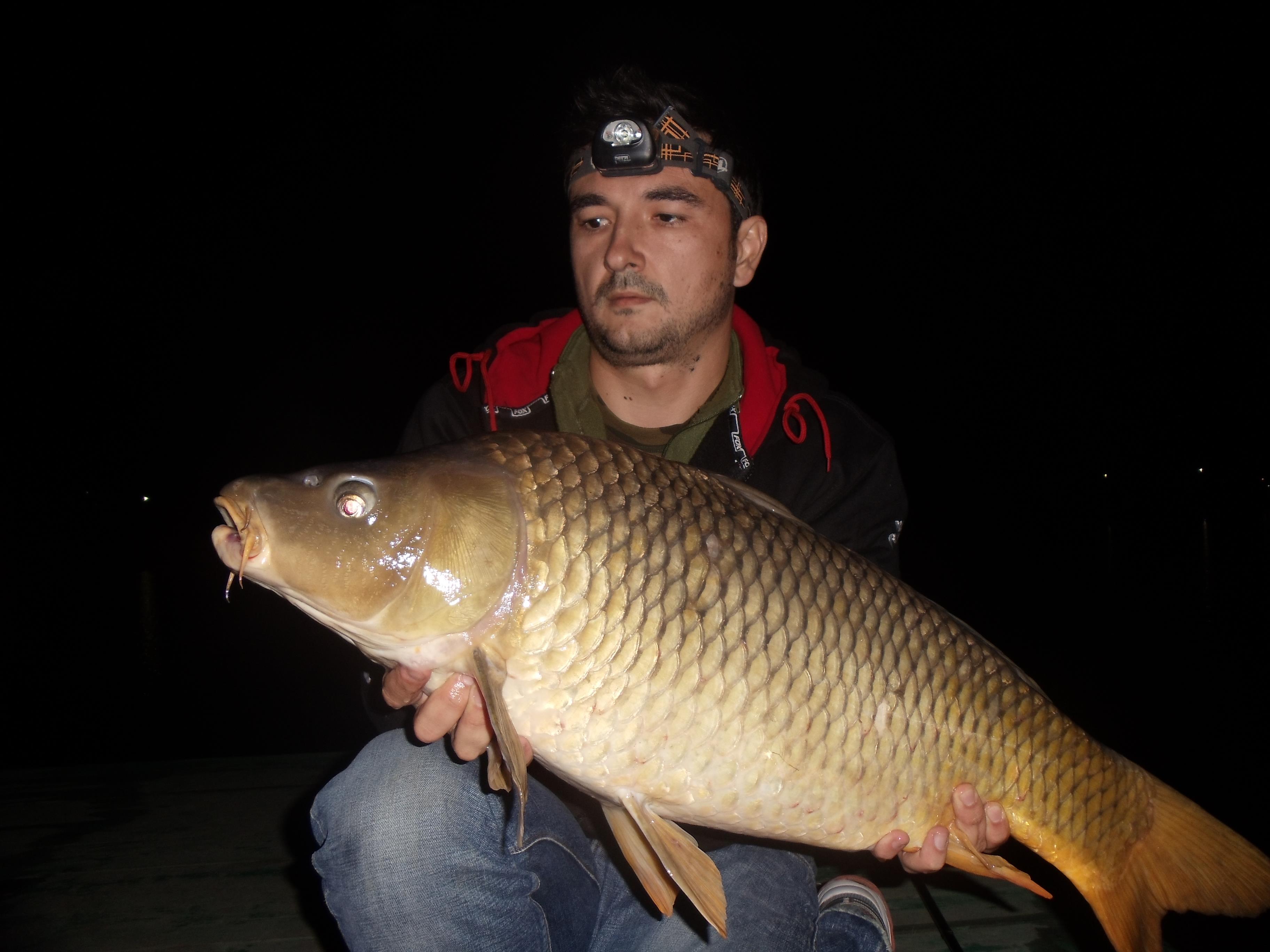 Moara Vlasiei 2012 - MV11.jpg